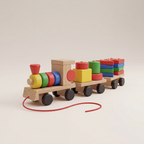 Montessori Shape Sorting Train